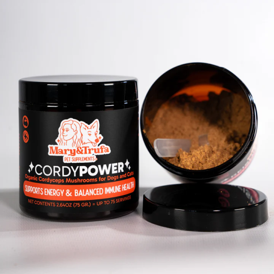 CordyPower con hongo Cordyceps aporta...