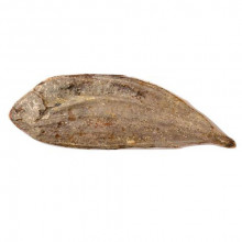 Platija snack para perros...