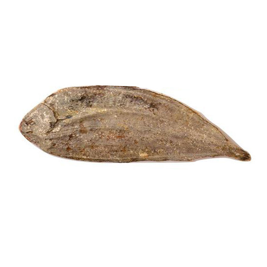 Platija snack para perros 100% natural