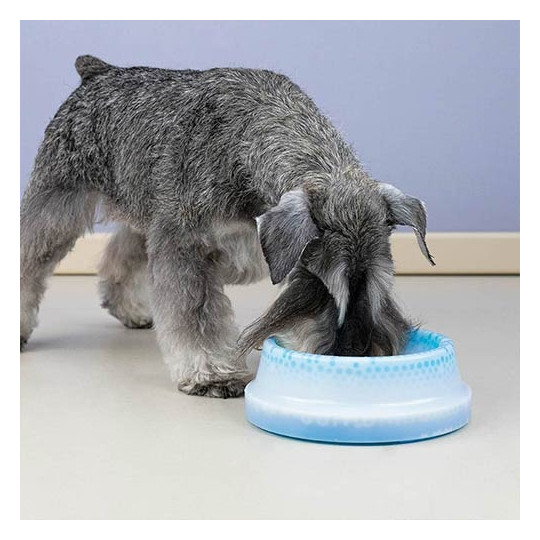 Bebedero refrescante